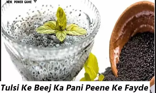 Tulsi Ke Beej Ka Pani Peene Ke Fayde: गुणों से भरा है तुलसी के बीजों का पानी, रोज सुबह पिएं खाली पेट, वेट और पेट कम करना होगा आसान...