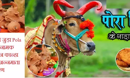 Pola Tihar 2024 : खेती-किसानी से जुड़ा Pola Tihar... पोलासुर नामक असुर का इसी दिन कान्हा ने किया था वध, अन्नमाता करती है गर्भ धारण