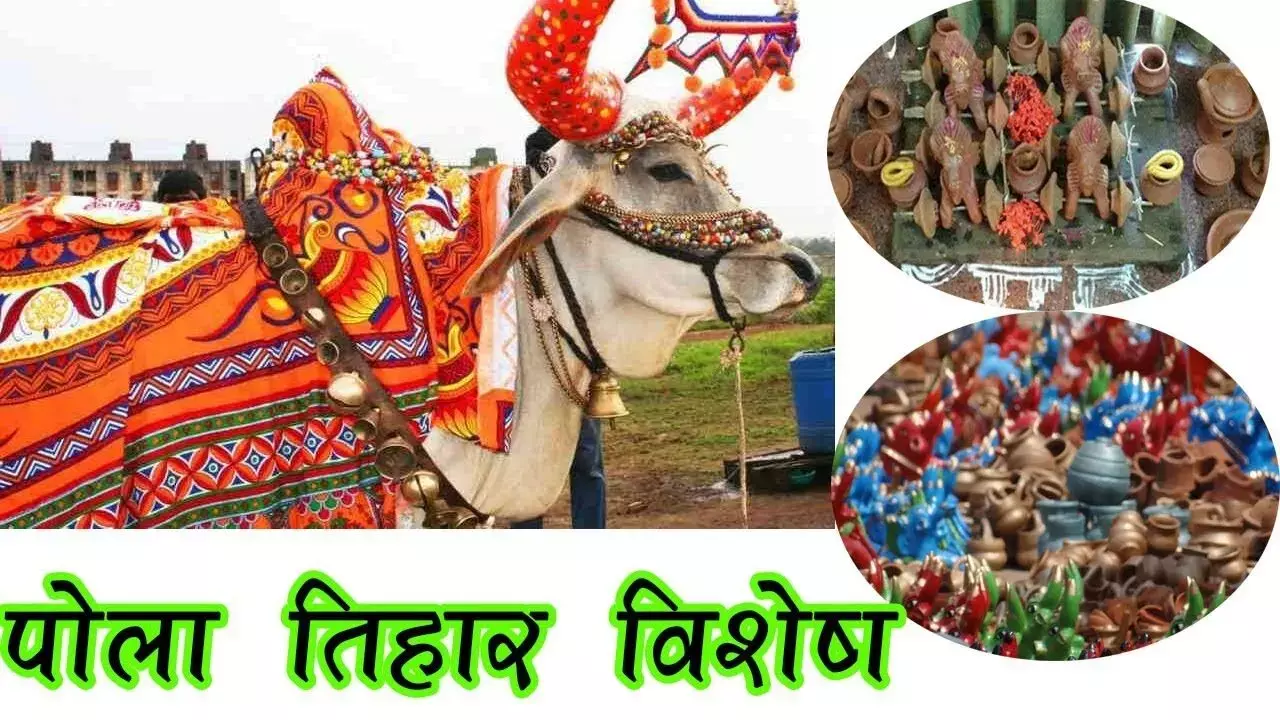 Pora Tihar 2024 in Chattisgarh : धर्म-संस्कृति और प्रकृति को आपस में जोड़कर जीवन का सत्य और कार्यों को दर्शाता है पोरा तिहार
