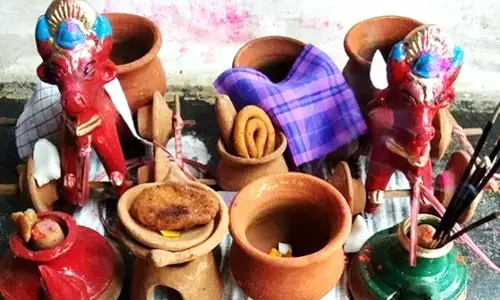 Pola Parv 2024 : पोला पर्व आज, संतान प्राप्ति के लिए अच्छा योग