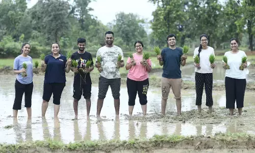 BALCO News: बालको कर्मचारियों ने किसानों के साथ मिलकर किया एसआरआई विधि से धान की रोपाई...