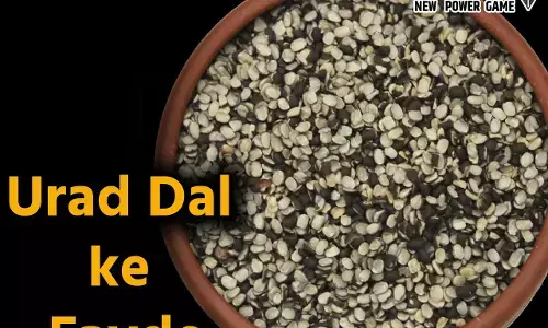 Urad Dal ke Fayde: उड़द दाल है बेहद फायदेमंद, पुरुषों के लिये खास, खून बढ़ाए, दिल को भी रखे स्वस्थ...