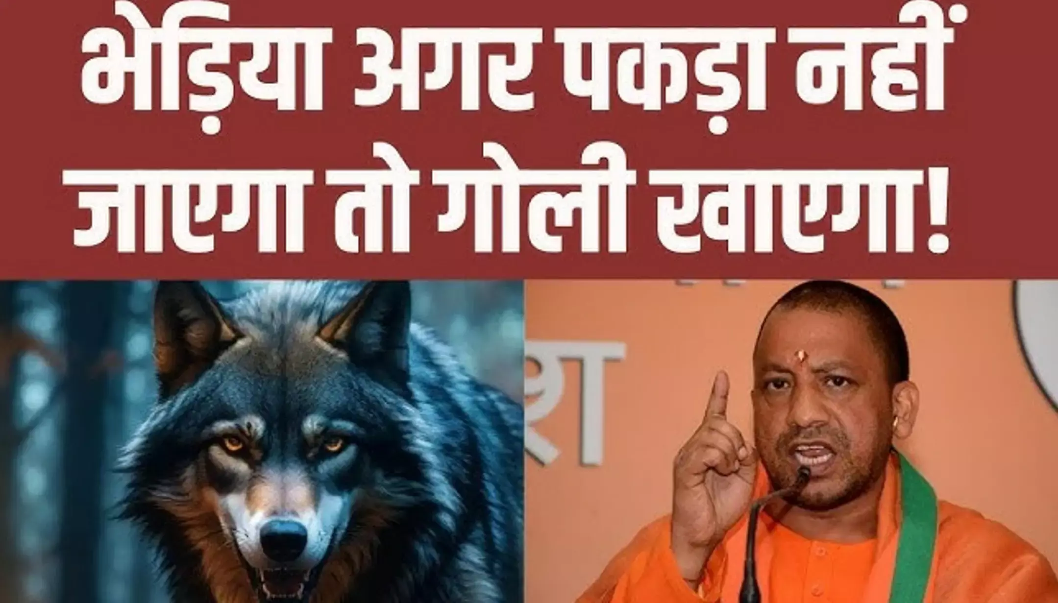 Bahraich Bhediya Attack: बहराइच में भेड़ियों का आतंक, योगी सरकार ने दिए आदमखोर को गोली मारने के आदेश