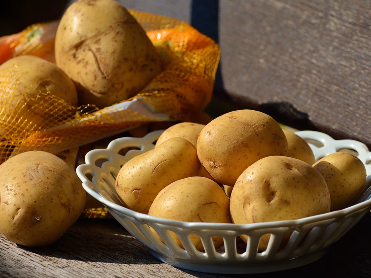 Most Expensive Potato: ये हैं दुनिया का सबसे महंगा आलू, इसके 1KG की कीमत ₹50 हजार से अधिक!