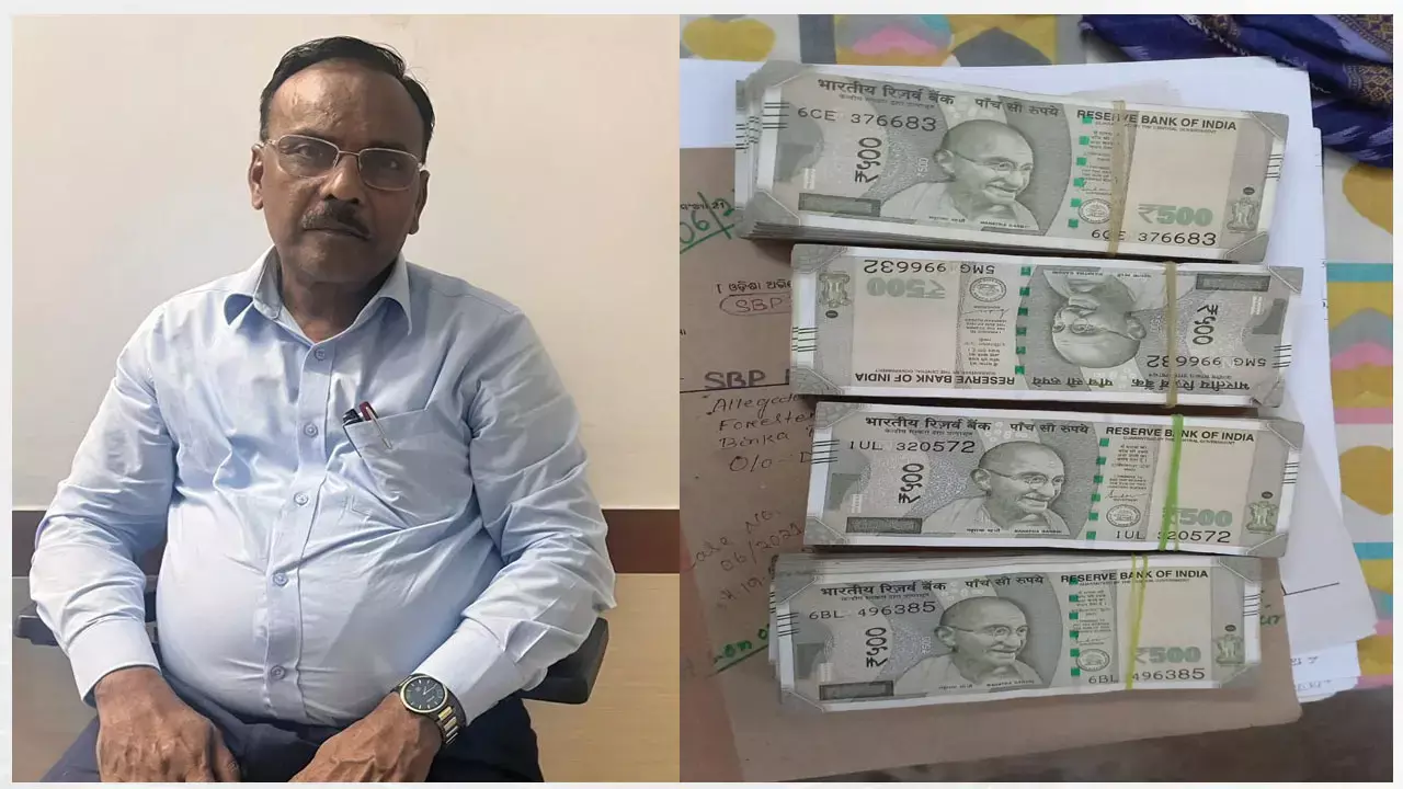 कलेक्टर को दो लाख की घूस, अंबुजा सीमेंट छत्तीसगढ़ चीफ मैन्युफैक्चरिंग ऑफिसर को विजिलेंस ने किया गिरफ्तार, मिठाई के डब्बे में ले गये थे 500-500 के बंडल