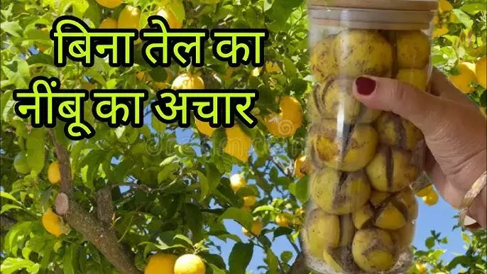 Bina Masale ka Nibu Achar : स्वाद के साथ सेहत के लिए भी दवा से कम नहीं, Read Recipe