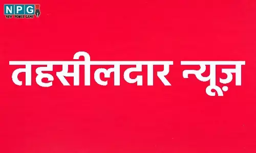 Raipur News: तहसीलदार, नायब तहसीलदारों के तबादले, देखें सूची...