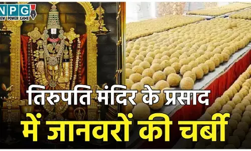 Tirupati Laddu News: तिरुपति मंदिर के प्रसाद में मिले गोमांस की चर्बी, मछली का तेल और एनिमल फैट, लैब रिपोर्ट में खुलासा