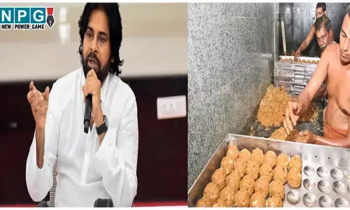 Tirupati Laddu Mandir Controversy: तिरुपति लड्डू में गोमांस और सूअर की चर्बी...पवन कल्याण ने की सनातन धर्म रक्षण बोर्ड बनाने की मांग