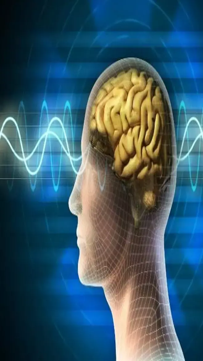 Kalonji Ke Fayde: काली है पर दिलवाली है कलौंजी, दिल से लेकर गंजेपन का इलाज करने के भी हैं गुण