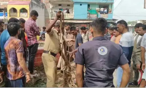 Janjgir News: कुएं में गिरकर पूर्व पुलिसकर्मी की मौत, बैठे-बैठे अचानक गिरा...