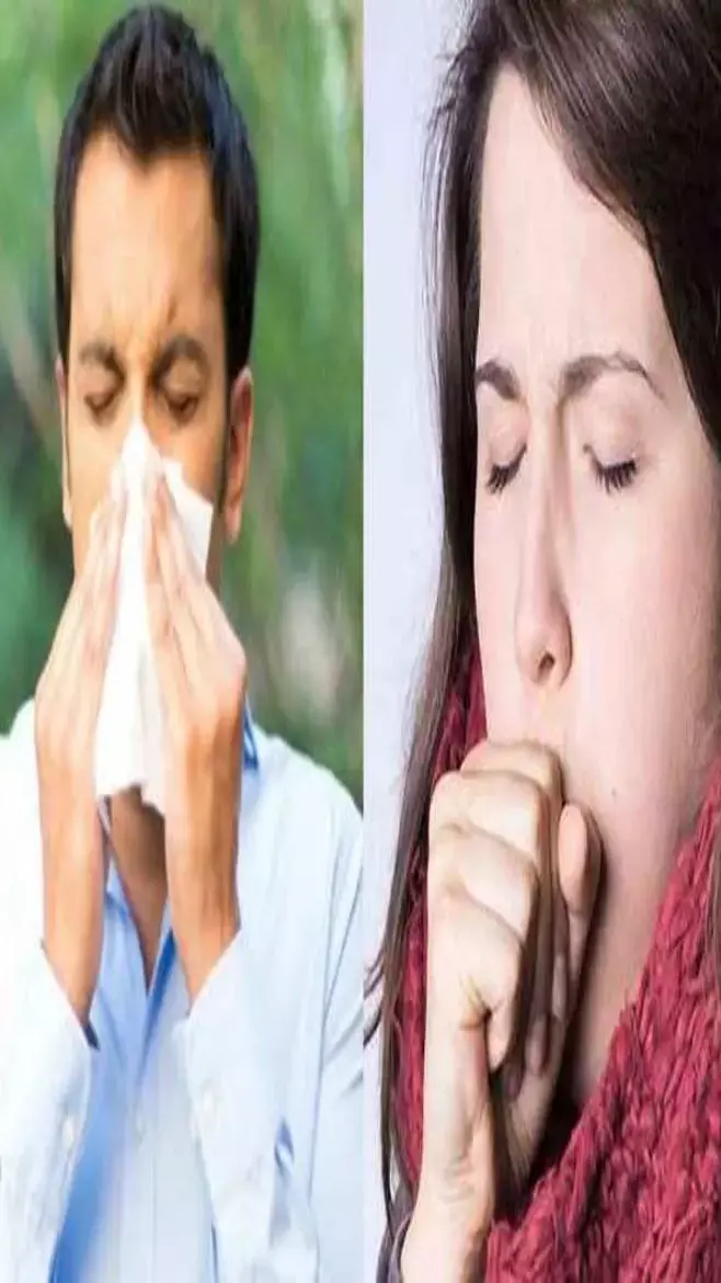 Cinnamon Benefits: इस खुशबूदार मसाले के इस्तेमाल से बढ़ेगी इम्यूनिटी, अल्जाइमर और जोड़ों के दर्द से होगा बचाव...