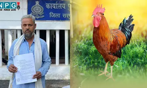 Ambikapur News: SP साहब मेरा मुर्गा चोरी हो गया, पुलिस नहीं कर रही कार्रवाई... शिकायत लेकर अधीक्षक कार्यालय पहुंचा बुजुर्ग...