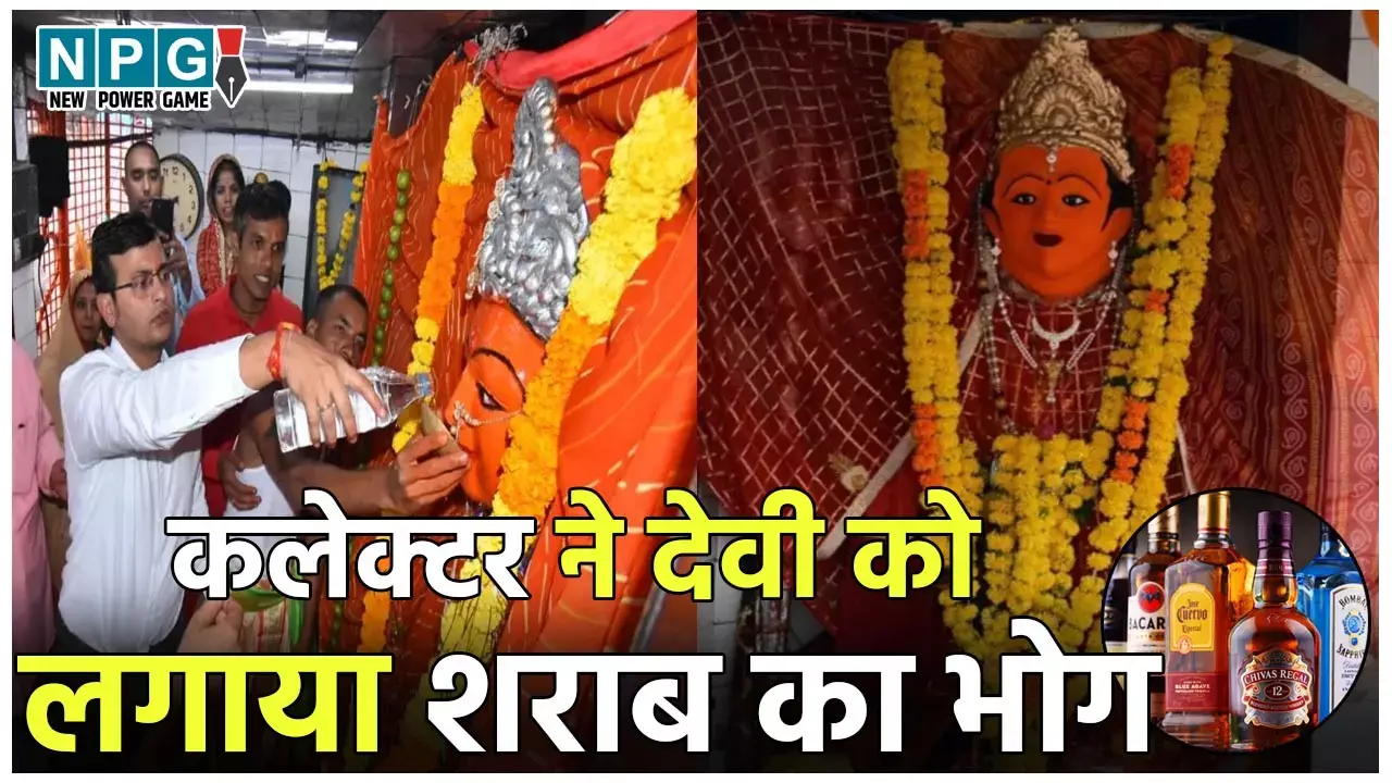 Chaubis Khamba Mata Mandir: महाअष्टमी पर मिठाई या खीर नहीं... कलेक्टर ने देवी को  लगाया शराब का भोग, देखिए Video