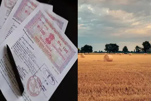 chhattisgarh News: पटवारी का कमाल देखिए... 75 एकड़ सरकारी जमीन को झटके में बना दिया निजी