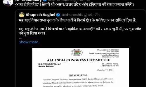 Political news: पूर्व सीएम को मिली विदर्भ क्षेत्र की जिम्‍मेदारी: मंत्री ओपी ने कसा तंज, बोले- आशा है...कमाल करेंगे