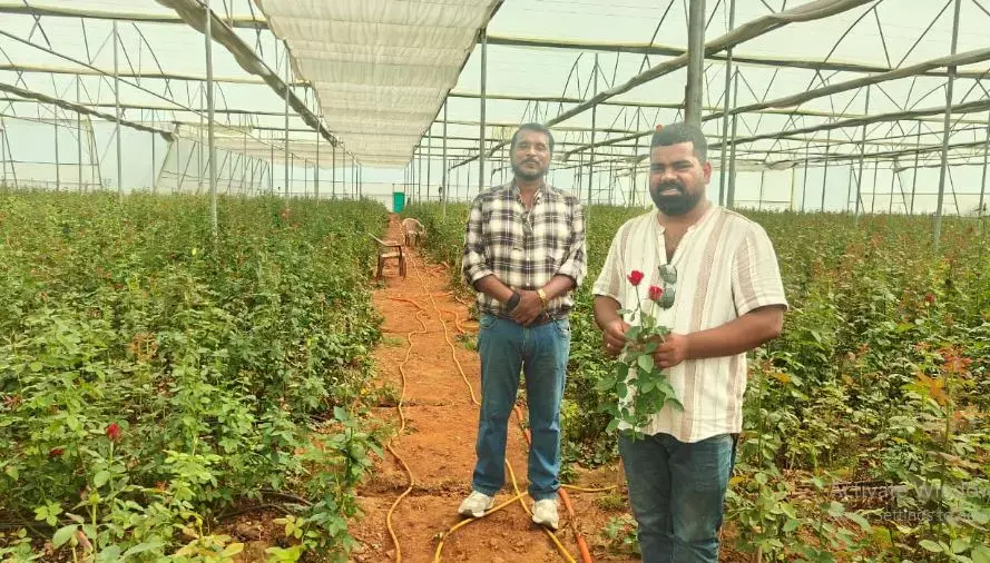 छत्तीसगढ़ में डचरोज की खेती से किसान बने आत्मनिर्भर, उद्यानिकी फसल को बढ़ावा देने विष्णुदेव सरकार कर रही है निंरतर प्रयास