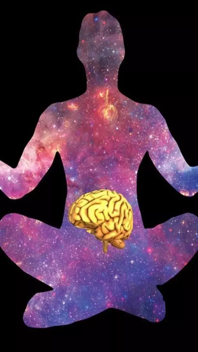 Gut-Brain Health Connection: स्वस्थ आंतों में छुपा है स्वस्थ ब्रेन का राज़, अल्जाइमर-डिमेंशिया से बचने खाएं ये चीज़ें...