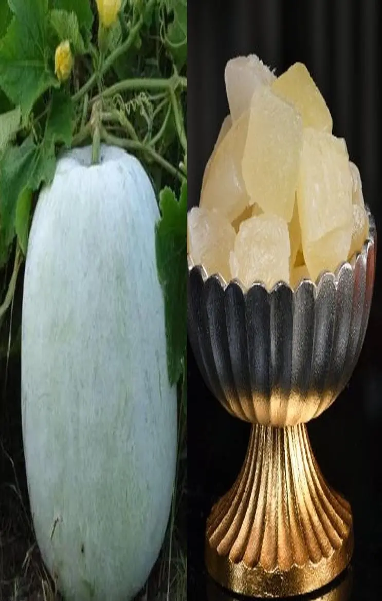 ​Ash Gourd Juice Ke Fayde: सिर्फ 30 दिन में शुगर की दवा को कहें बाय-बाय: इस जूस के साथ!...
