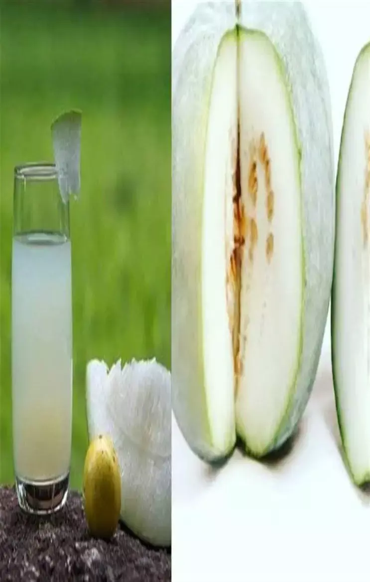 ​Ash Gourd Juice Ke Fayde: सिर्फ 30 दिन में शुगर की दवा को कहें बाय-बाय: इस जूस के साथ!...