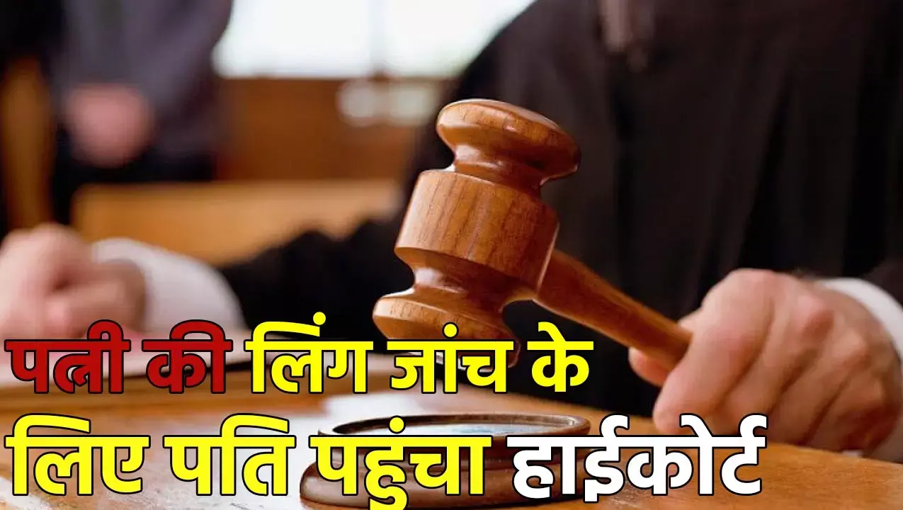 High Court News: जज साहब मेरे साथ धोखा हुआ है... पत्नी की लिंग जांच कराने हाईकोर्ट पहुंचा पति, जानें क्या है पूरा मामला