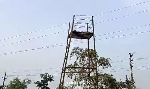 Mungeli News: झालर लाईट लगाने के दौरान दर्दनाक हादसा, हाईटेंशन तार की चपेट में आने से तीन की मौत, FIR