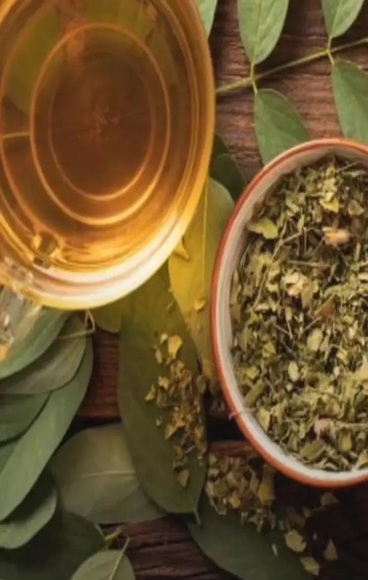 Oregano Tea Benefits: वजन घटाए ओरेगेनो टी, एंटी एजिंग, अस्थमा, हार्ट डिसीज़ में भी कारगर, जाने कमाल के फायदे...