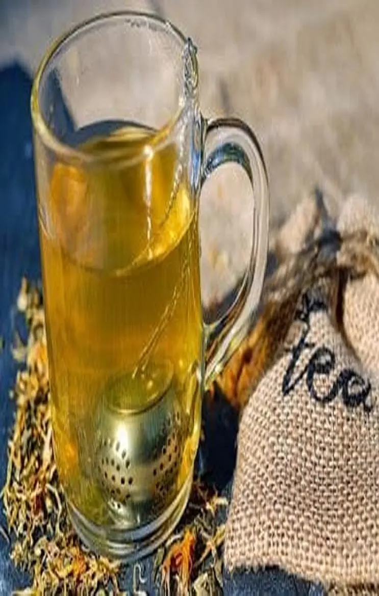 Oregano Tea Benefits: वजन घटाए ओरेगेनो टी, एंटी एजिंग, अस्थमा, हार्ट डिसीज़ में भी कारगर, जाने कमाल के फायदे...