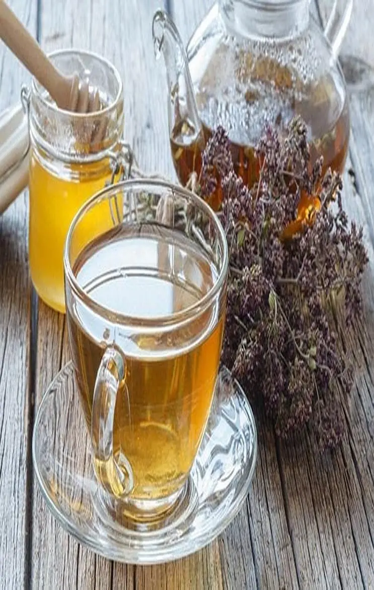 Oregano Tea Benefits: वजन घटाए ओरेगेनो टी, एंटी एजिंग, अस्थमा, हार्ट डिसीज़ में भी कारगर, जाने कमाल के फायदे...