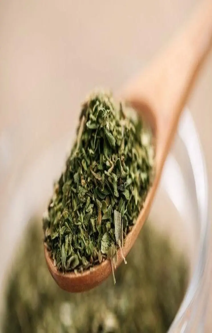 Oregano Tea Benefits: वजन घटाए ओरेगेनो टी, एंटी एजिंग, अस्थमा, हार्ट डिसीज़ में भी कारगर, जाने कमाल के फायदे...