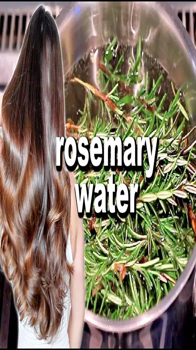 Rosemary Water For Hair Growth: झड़ते बाल रुला रहे! गंजे होने से पहले रोजमेरी वाॅटर का इस्तेमाल शुरू कीजिए, ऐसे बनाएं घर पर