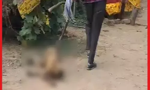 Bilaspur News: शराबी युवक ने बंदर पर बरसाए लाठी, गंभीर हालत में कानन पेंडारी जू में चल रहा इलाज