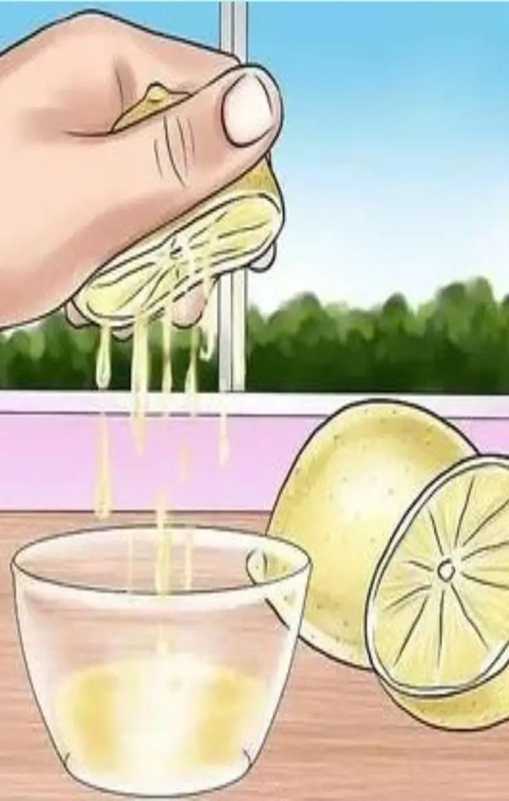 Olive Oil With Lemon Juice Benefits: बैली फैट घटाएगा ऑलिव ऑयल और नींबू के रस के मिश्रण, इतनी मात्रा में रोज सुबह पिएं खाली पेट