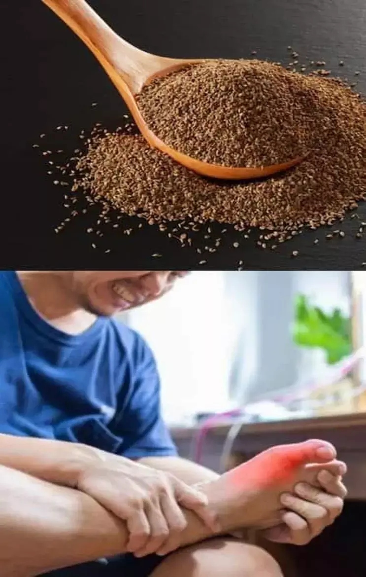 Ajwain For Uric Acid: अजवाइन के छोटे-छोटे दाने हैं यूरिक एसिड के दुश्मन, गठिया से राहत के लिए जाने कैसे करें इस्तेमाल