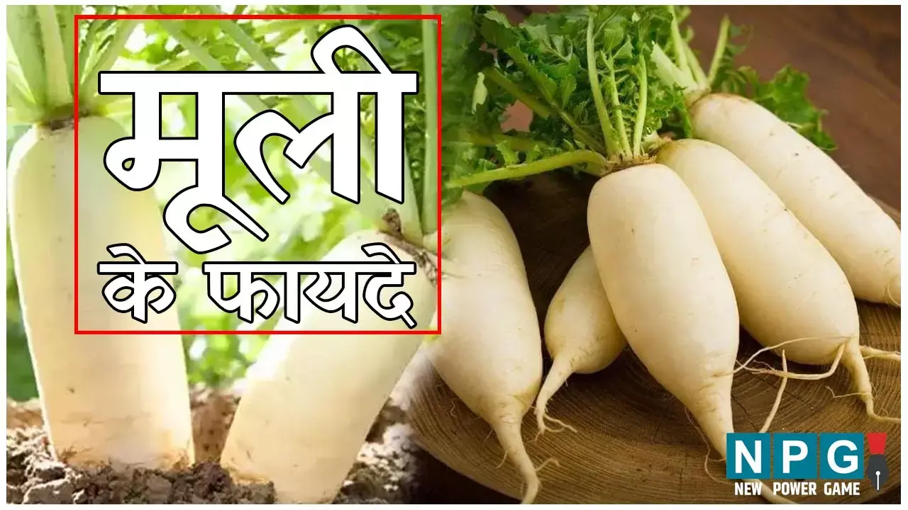 Mooli Khane Ke Fayde: कमर का घेरा घटाएगी मूली, शुगर भी करेगी कम, जानिए इसके बेमिसाल फायदे...