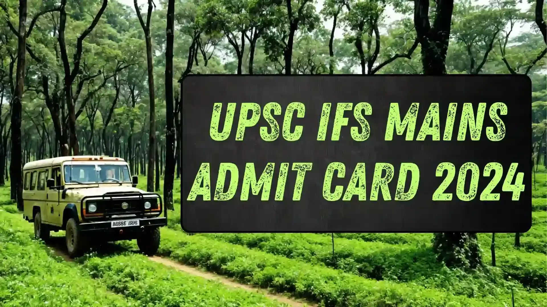 UPSC IFS Mains Admit Card 2024: UPSC ने IFS मुख्य परीक्षा 2024 के एडमिट कार्ड किए जारी, इन स्टेप्स को फॉलो करके करें डाउनलोड