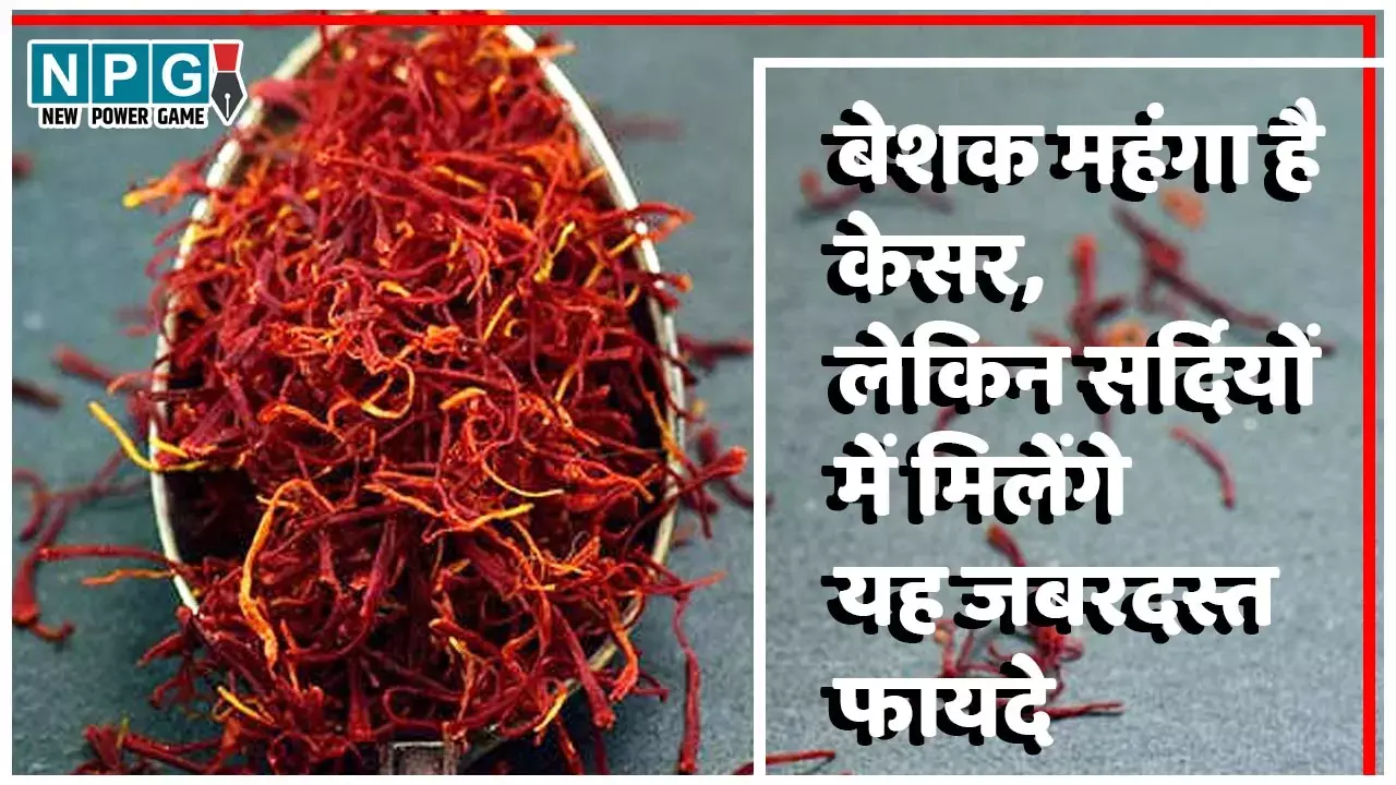 Saffron Health Benefits In Winters: बेशक महंगा है केसर, लेकिन डॉक्टर के लंबे पर्चे बराबर नहीं, रोजाना इस्तेमाल से सर्दियों में मिलेंगे यह जबरदस्त फायदे...