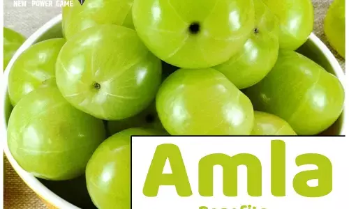 Amla Benefits: क्या आप जानते हैं कि सौ ग्राम आंवले में होता है 20 संतरे जितना विटामिन सी! जानिए हर दिन एक से दो आंवले खाने के अद्भुत फायदे...