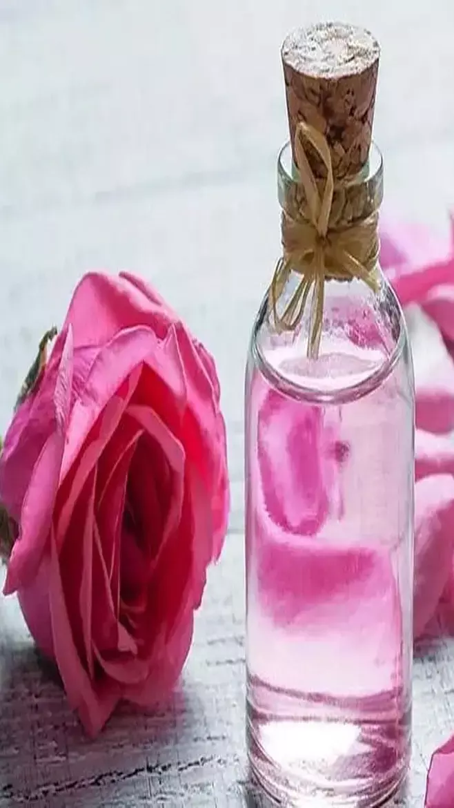 Rose-Hibiscus Water Se karain Winter Me Skin Care: गुलाब जल के साथ मिला लीजिए इस फूल का पानी और बना लीजिए हाइड्रेटिंग स्प्रे, स्किन रफ होने का सवाल ही नहीं