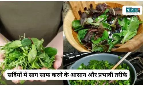 सर्दियों में साग साफ करने के आसान और प्रभावी तरीके