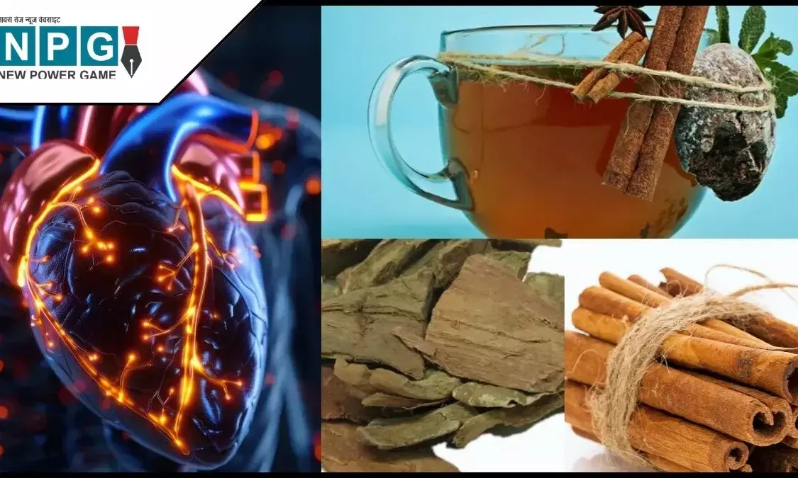 हार्ट ब्लॉकेज कारण और आयुर्वेदिक समाधान