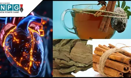 हार्ट ब्लॉकेज कारण और आयुर्वेदिक समाधान