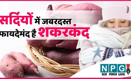 Sweet Potato Benefits: सर्दियों का सुपर फूड है शकरकंद, बिना समय बर्बाद कर डाइट में कीजिए शामिल...