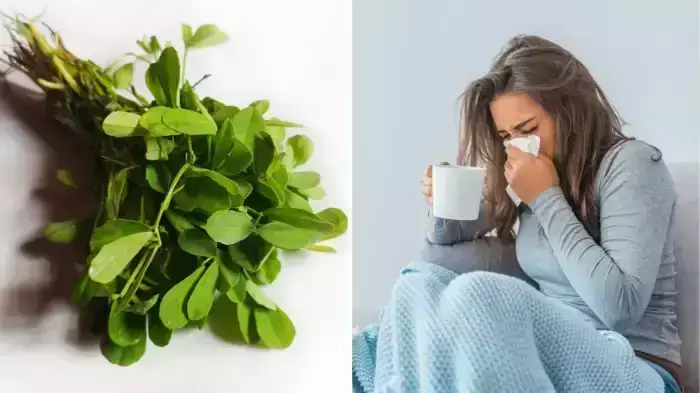 सर्दी में सेहतमंद रहने के लिए खाएं ये हरी पत्तेदार सब्जियां