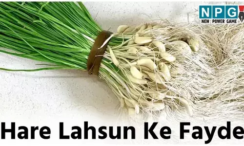 Hare Lahsun Ke Fayde: सर्दियों में ज़रूर कीजिये हरे लहसुन का इस्तेमाल, मिलेंगे ये फायदे...