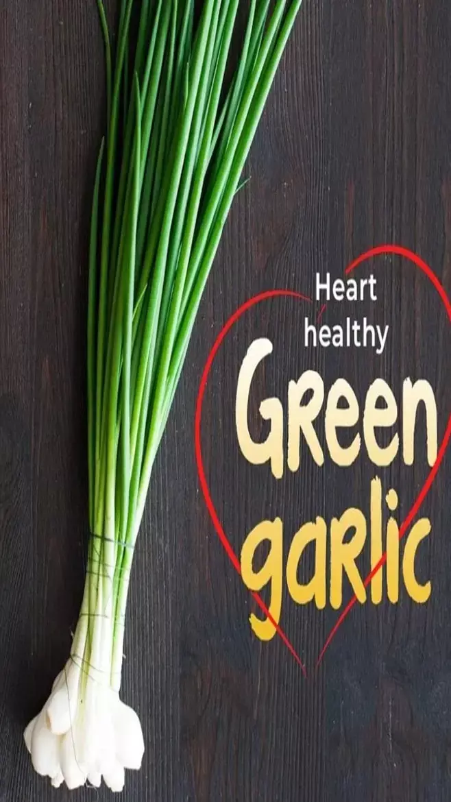 Lahsun Ke Fayde: हरा लहसुन हर लेगा पीड़ा, बढ़ाएगा इम्यूनिटी, सर्दियों में ज़रूर कीजिये इस्तेमाल, जानिए फायदे...