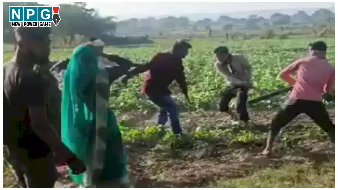 Shivpuri News: सरपंच ने दलित युवक की पीट-पीटकर ली जान, मामले में CM मोहन यादव ने दिए सख्त कार्रवाई के निर्देश Shivpuri News: सरपंच ने दलित युवक की पीट-पीटकर ली जान, मामले में CM मोहन यादव ने दिए सख्त कार्रवाई के निर्देश