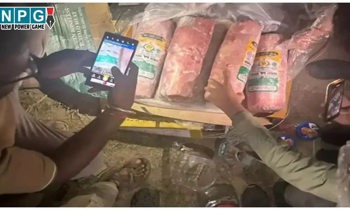 Noida Cow Meat News: कोल्ड स्टोरेज से मिला 10 हजार गायों का मांस, भैंस का मीट बताकर सप्लाई, मामले में 2 अफसरों पर गिरी गाज