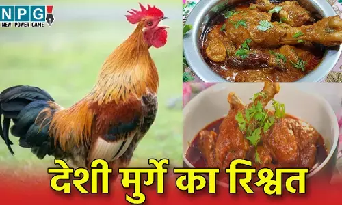 CG देशी मुर्गे का रिश्वत: बैंक मैनेजर लोन देने की एवज में किसान से खा गया 38 हजार का देशी मुर्गा