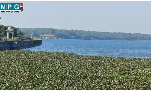 MP News: खुशखबरी! MP का 8वां टाइगर रिजर्व होगा माधव नेशनल पार्क, एनटीसीए ने दी मंजुरी, जानिए 7 पार्क कौन से हैं